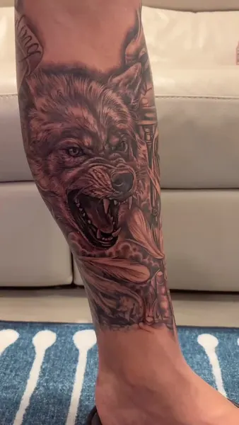 Tiger, Animal