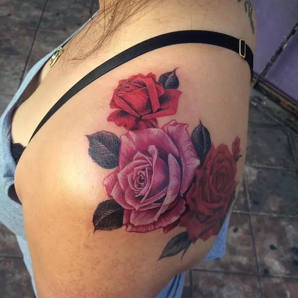 Flower, Nature, Rose