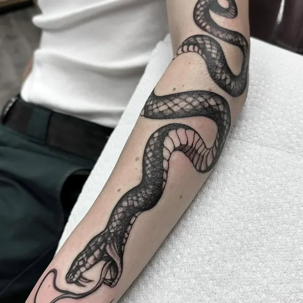 Animal