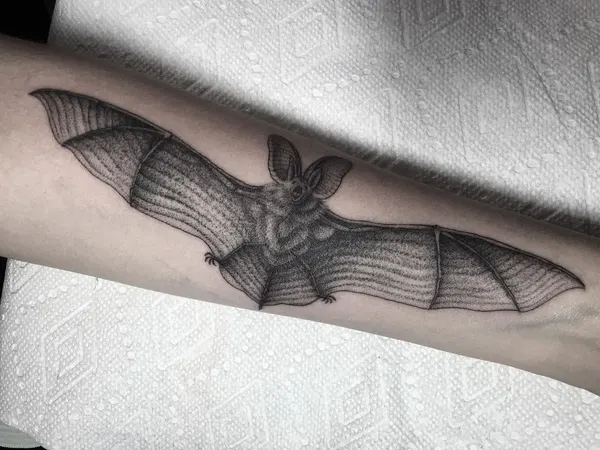박쥐, Dragon