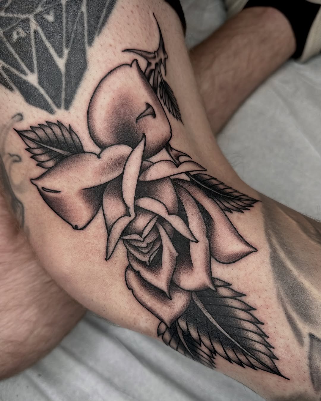Flower, Rose