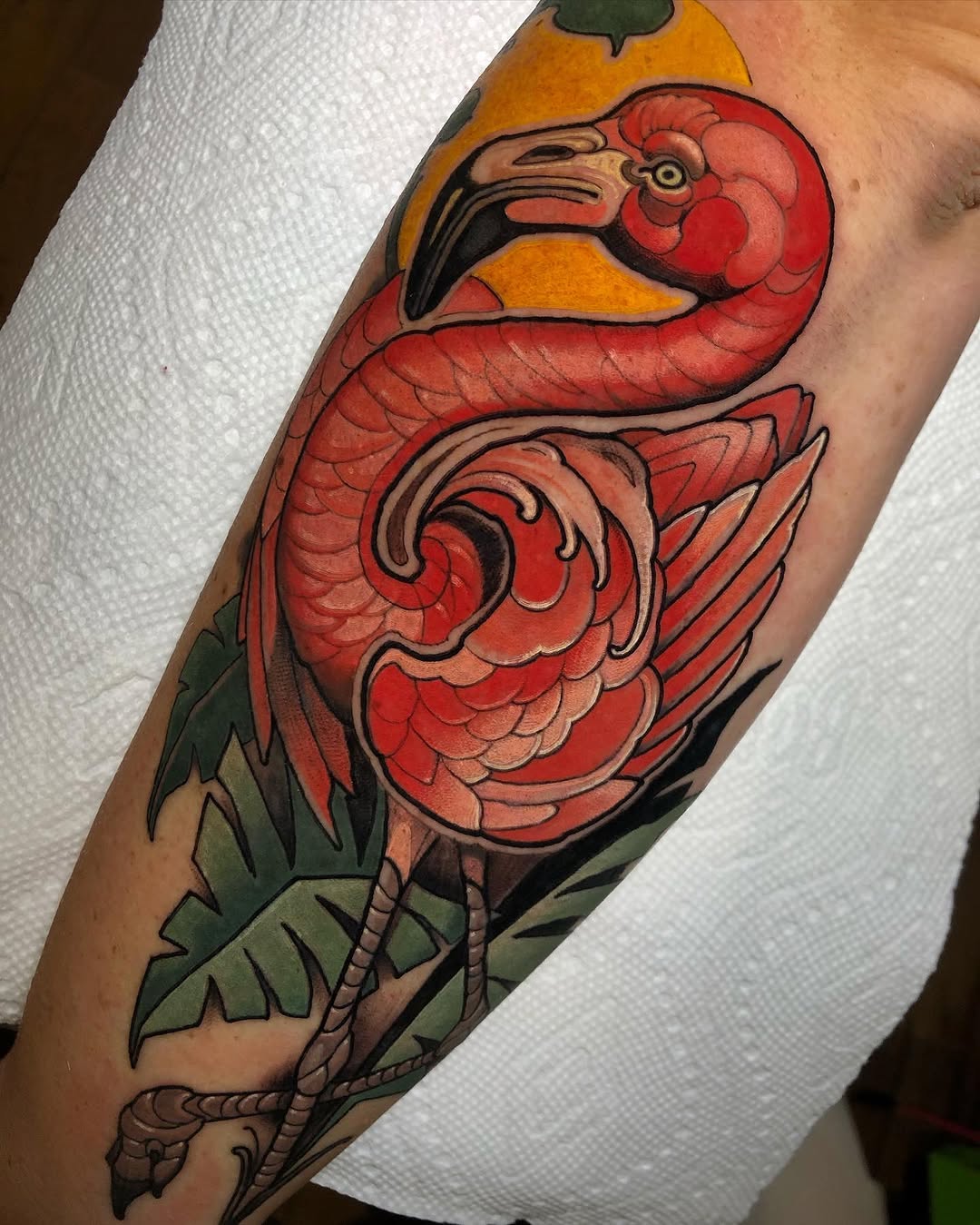 Animal, Flower