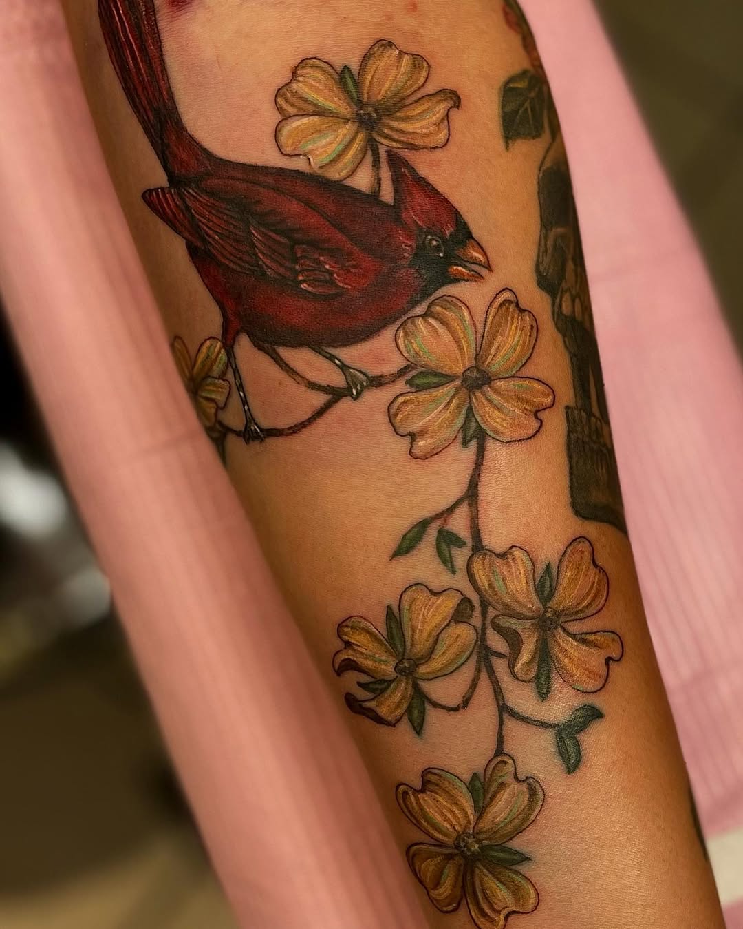Flower, Animal, Nature