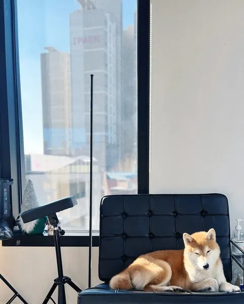정의