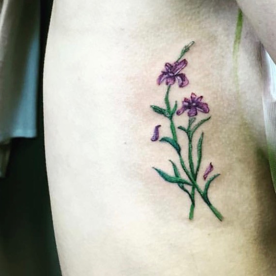 Flower, 풀, 난초, 허브, 라벤더, 야생화, 백합