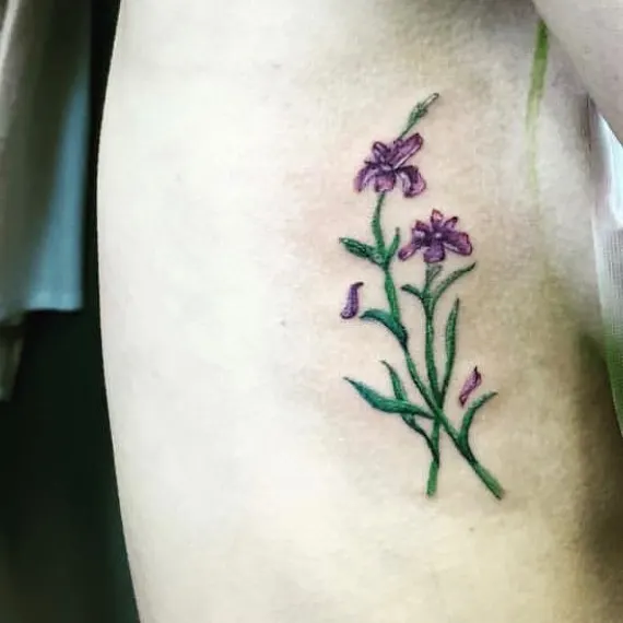 Flower, 풀, 난초, 허브, 라벤더, 야생화, 백합