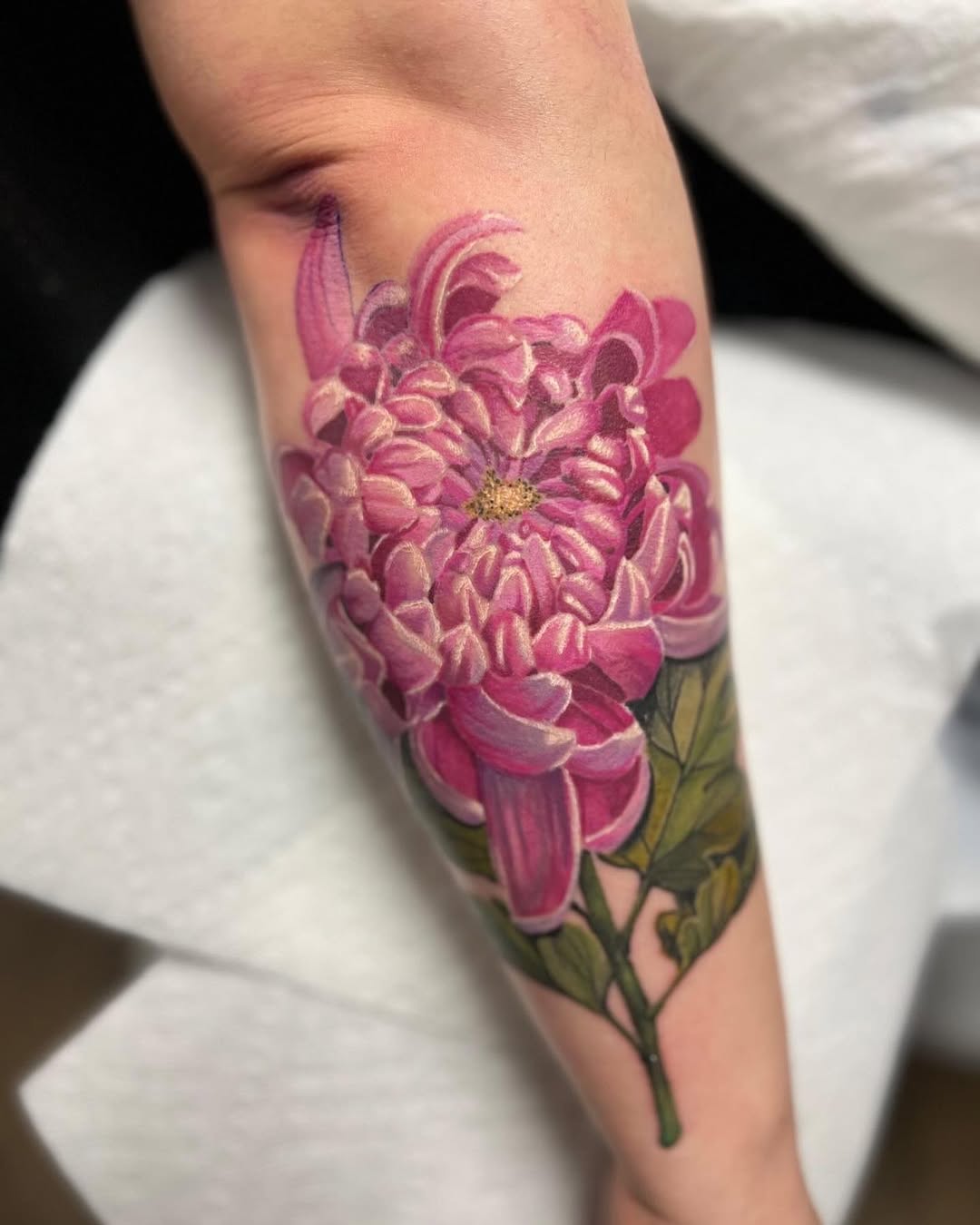 Flower, Rose, 목련, 튤립, 백합, 꽃다발