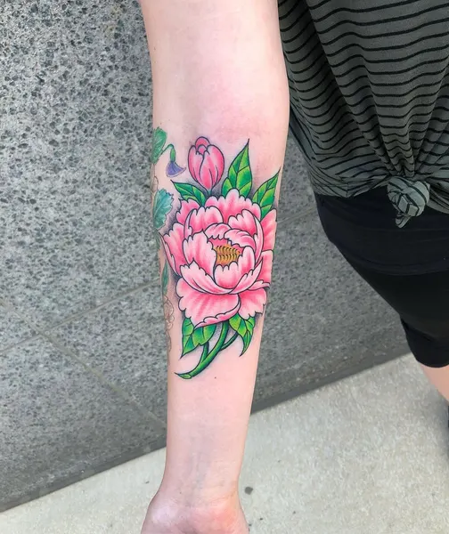 Flower, Rose