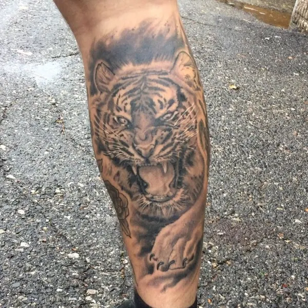 Tiger, 재규어