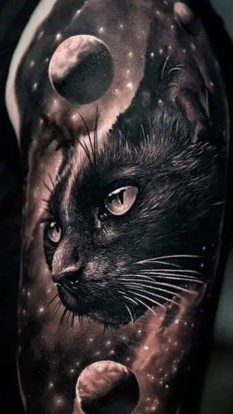 Animal, 팬서
