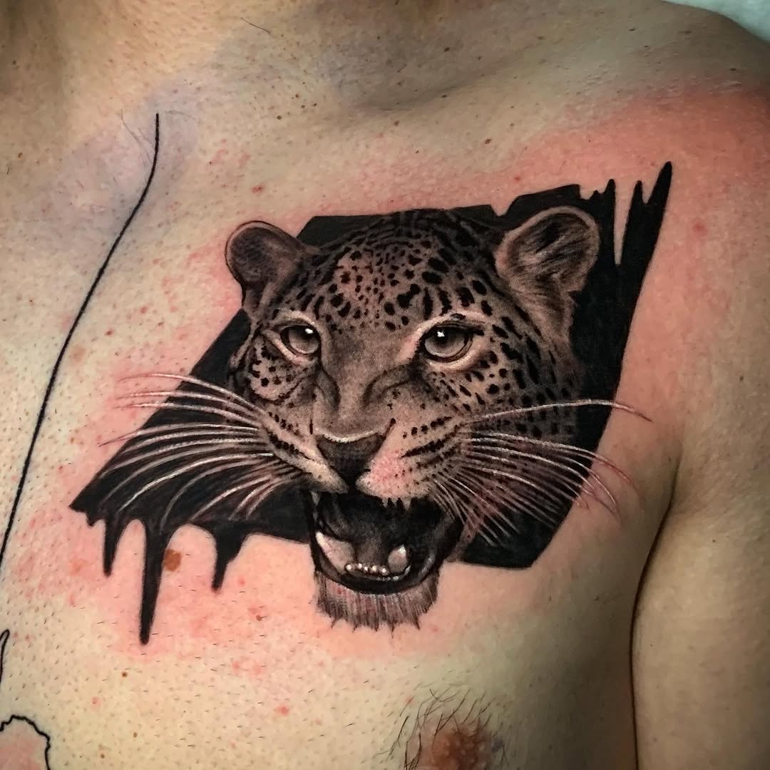 Animal, 표범, 재규어, 치타