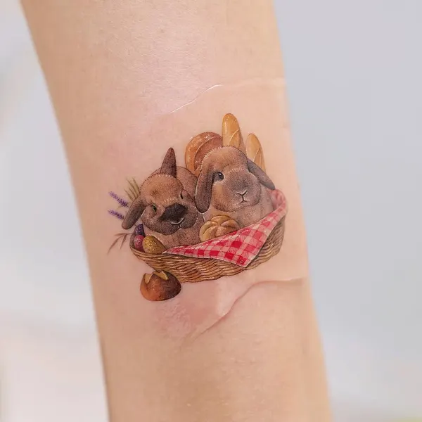 Animal, 개구리, 거북이, 조개껍데기