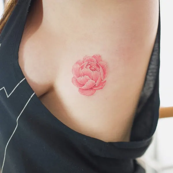 Flower, Rose