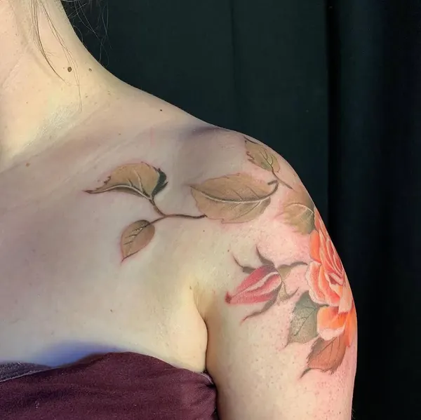 Flower, Rose, Nature