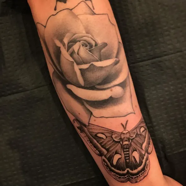 Flower, Rose