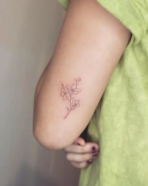 옴, Flower, 잎, 은행잎, 덩굴, 허브, 대나무