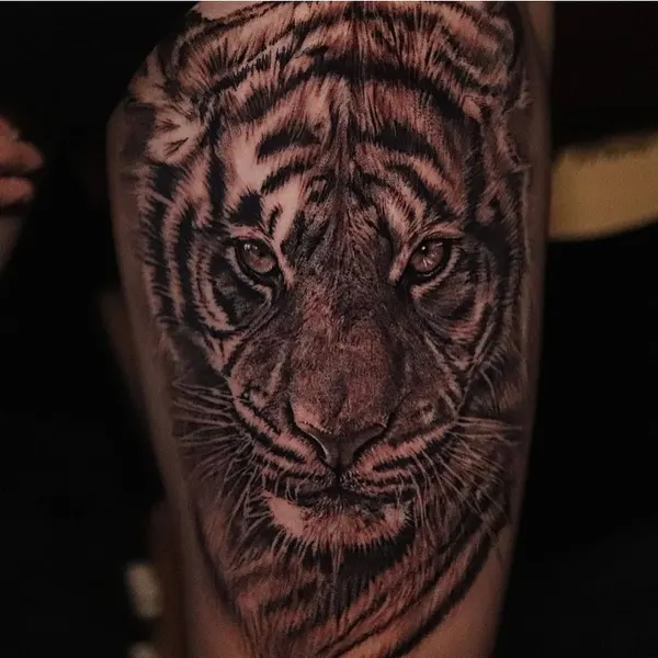 Tiger, 중국 호랑이