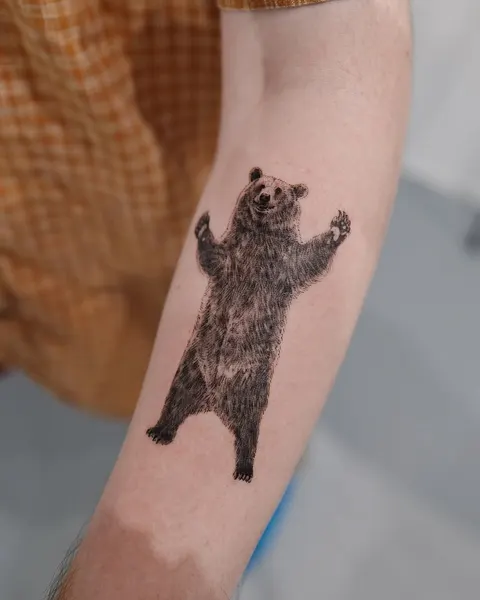 Animal, 곰, 너구리, 나무늘보, 텐구, 멧돼지
