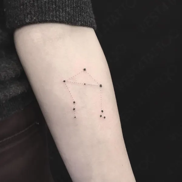 별들, Mini, 성좌, 별, 혜성, 불가사리, 사수자리, 황소자리, 물고기자리