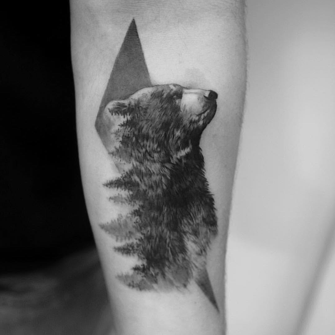 Animal, 멧돼지, 코알라