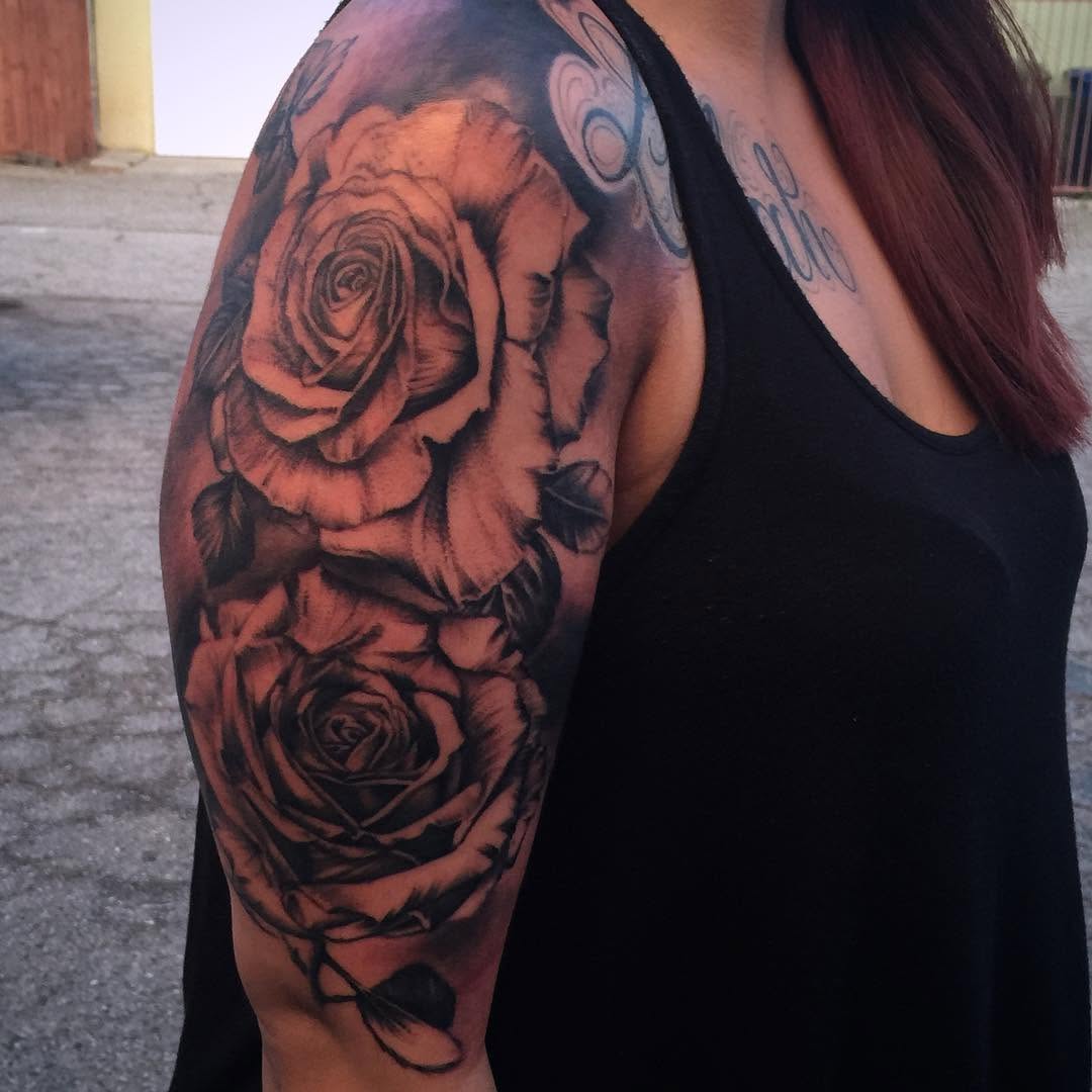 Flower, Rose, Nature