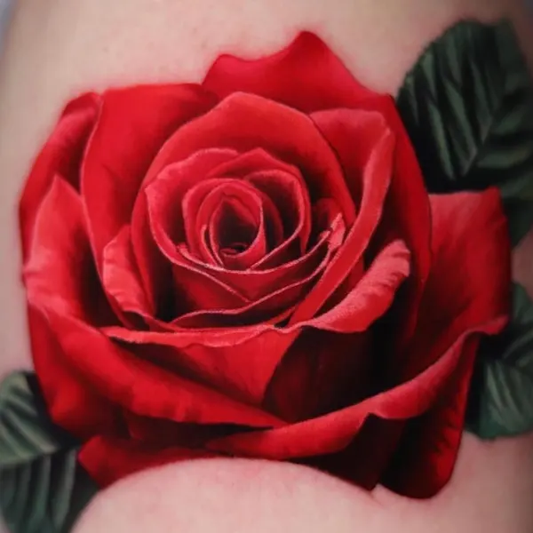Rose, Flower