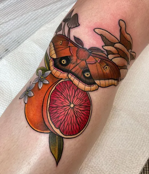 Animal, Nature