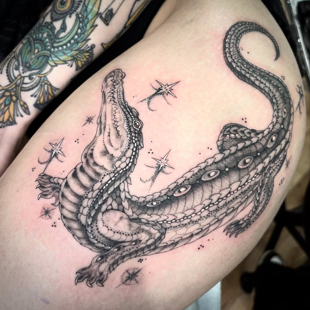 Dragon, 악어