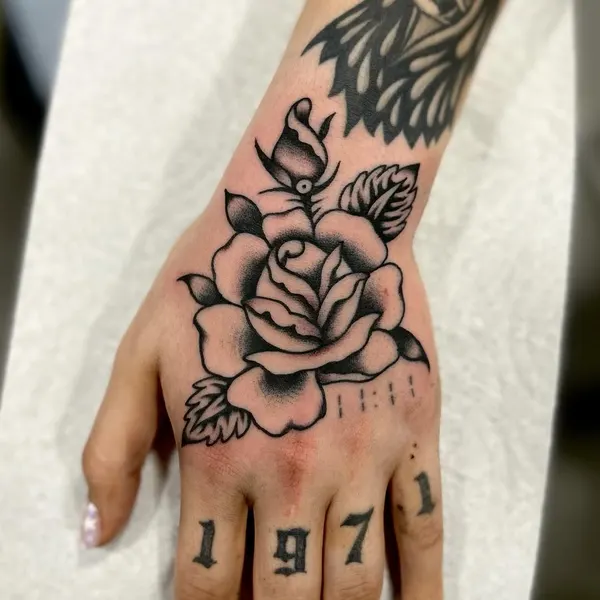 Flower, Rose
