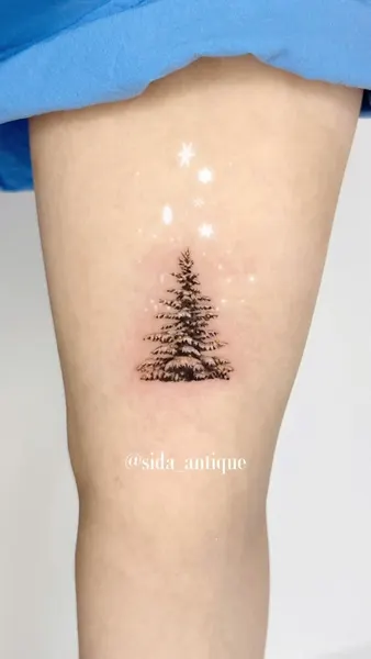 Nature, 눈, 숲, 소나무