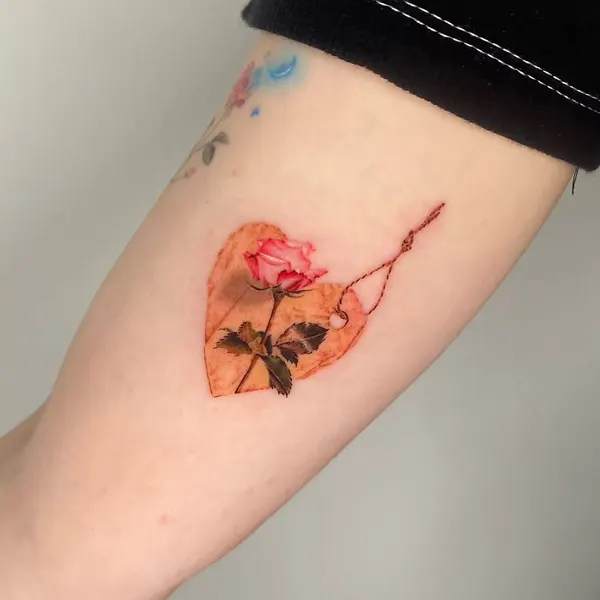 Flower, 체리, 양귀비
