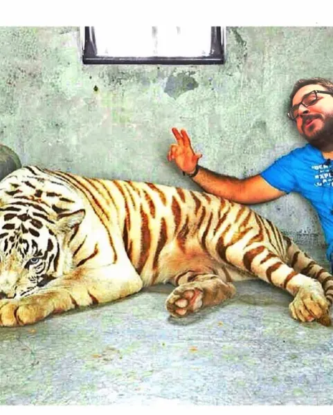Kyle Crowell