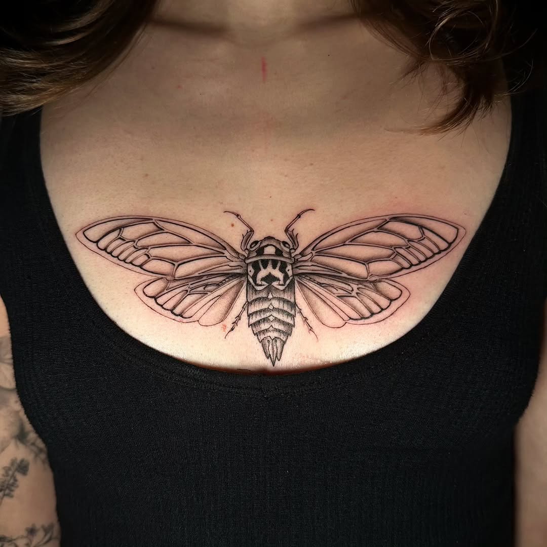 Animal, Nature, 나방