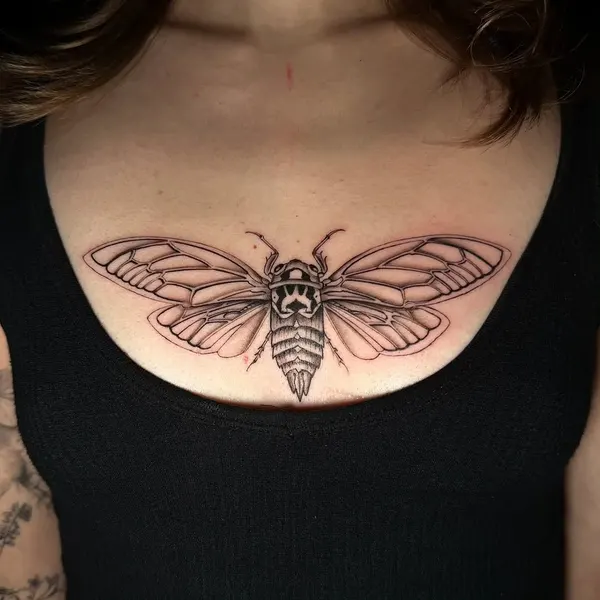 Animal, Nature, 나방