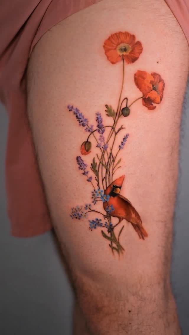 Flower, Nature, Animal