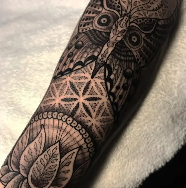 Animal