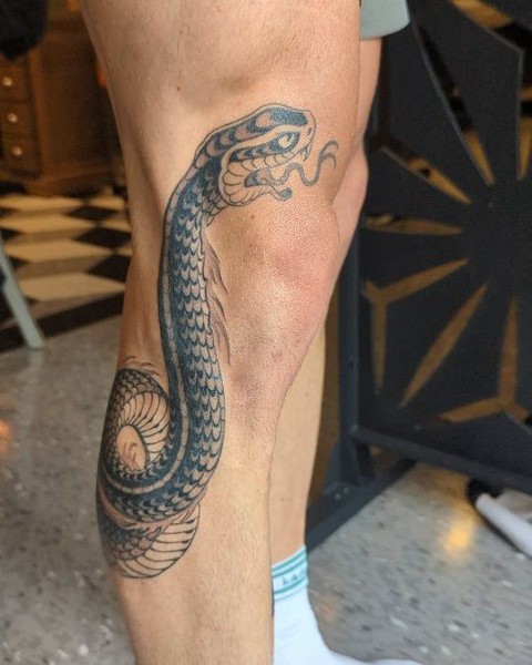 Dragon, 지네, Snake