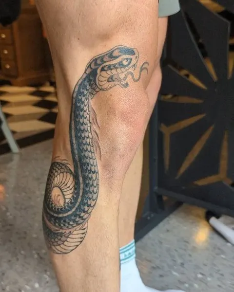 Dragon, 지네, Snake