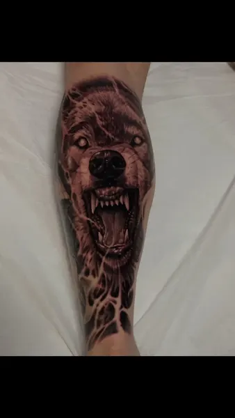 Animal