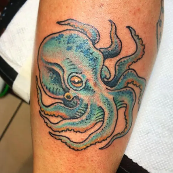 Animal, 문어