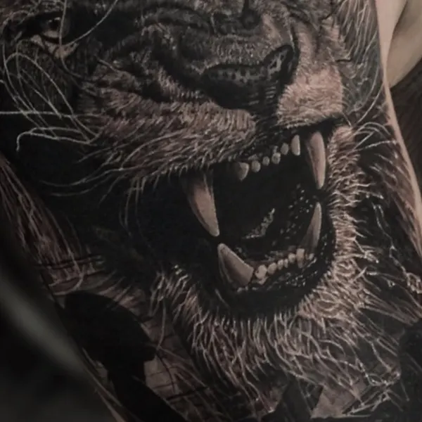 Tiger
