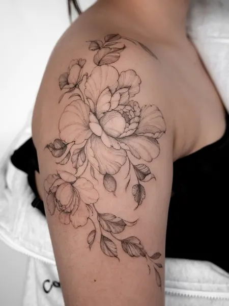 Flower, Rose, Nature