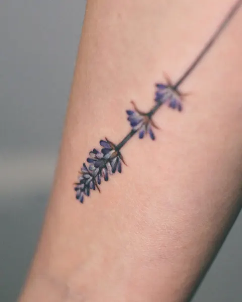 Flower, 라벤더