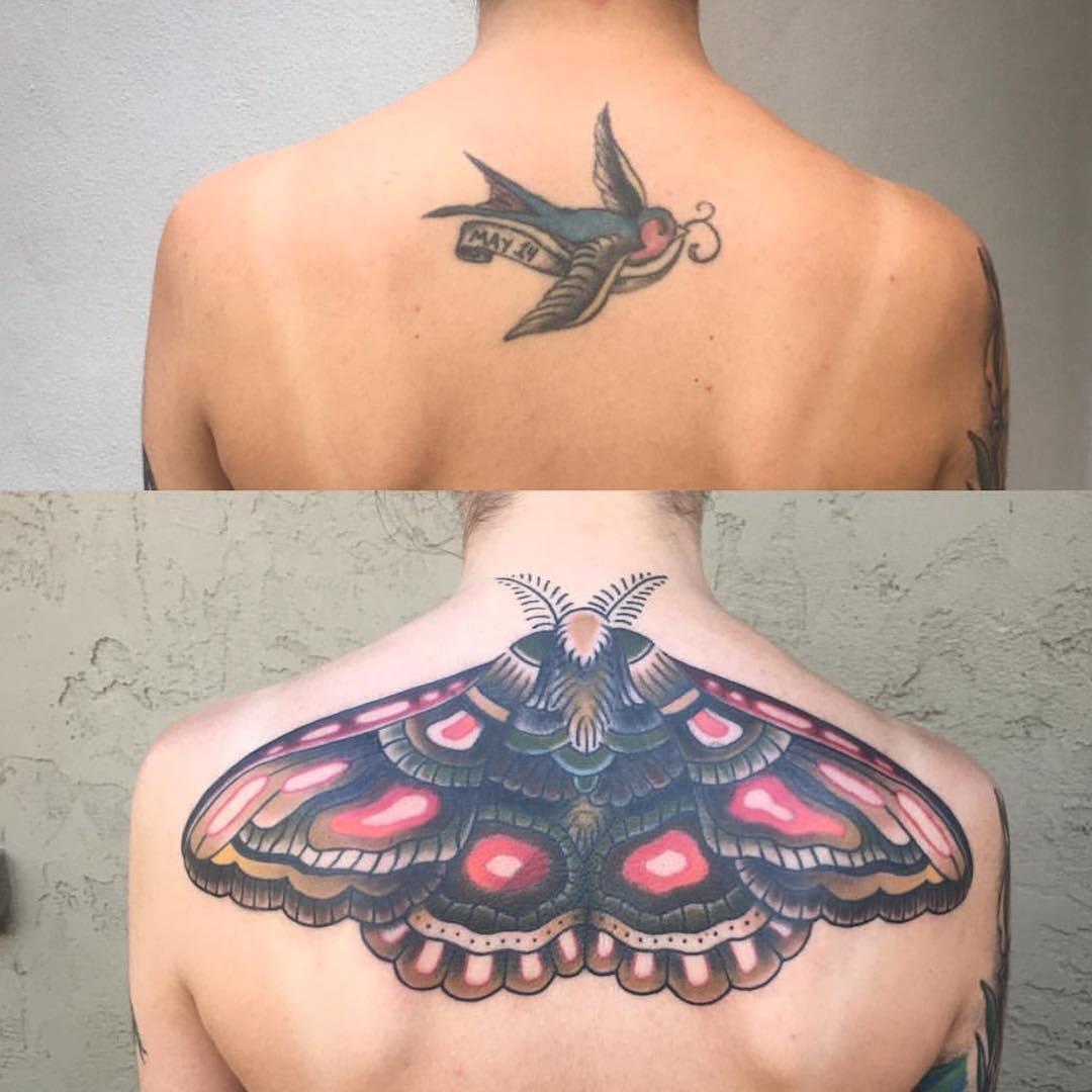 Animal, Nature, 변화