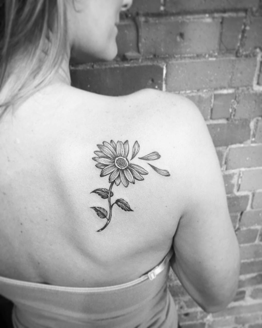 Flower, Nature, Rose, 연꽃