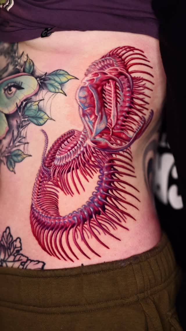 Dragon, 케르베로스