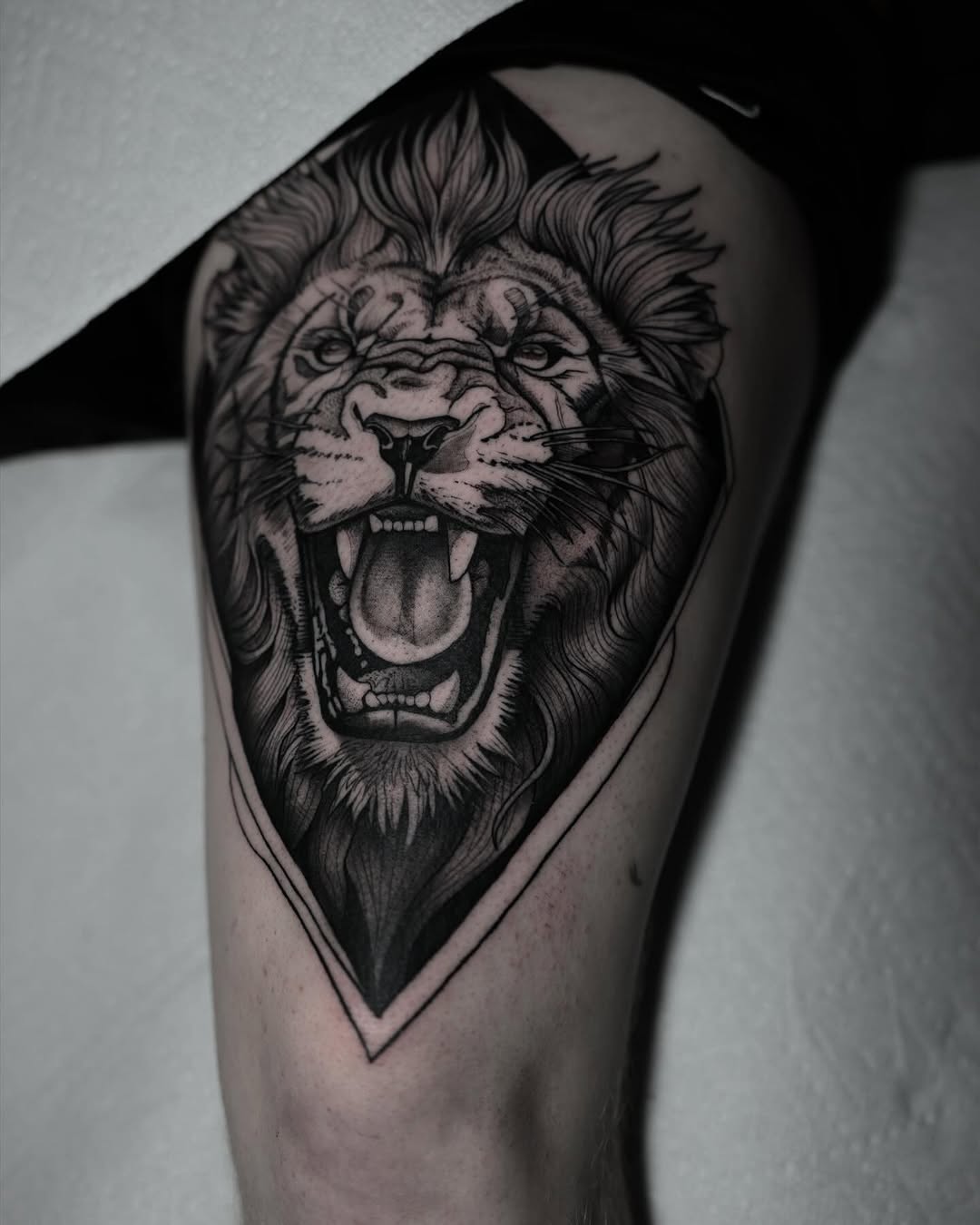Tiger, 고릴라