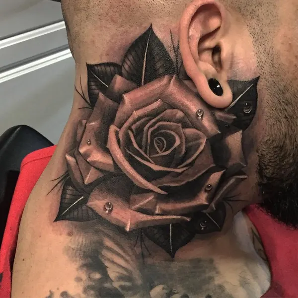 Flower, Rose, Nature