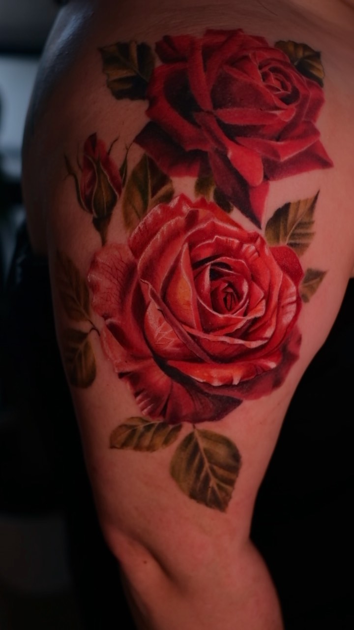 Flower, Rose, Nature