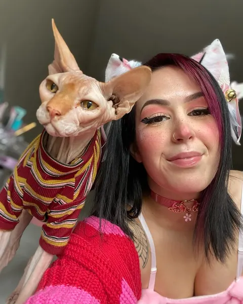 Animal